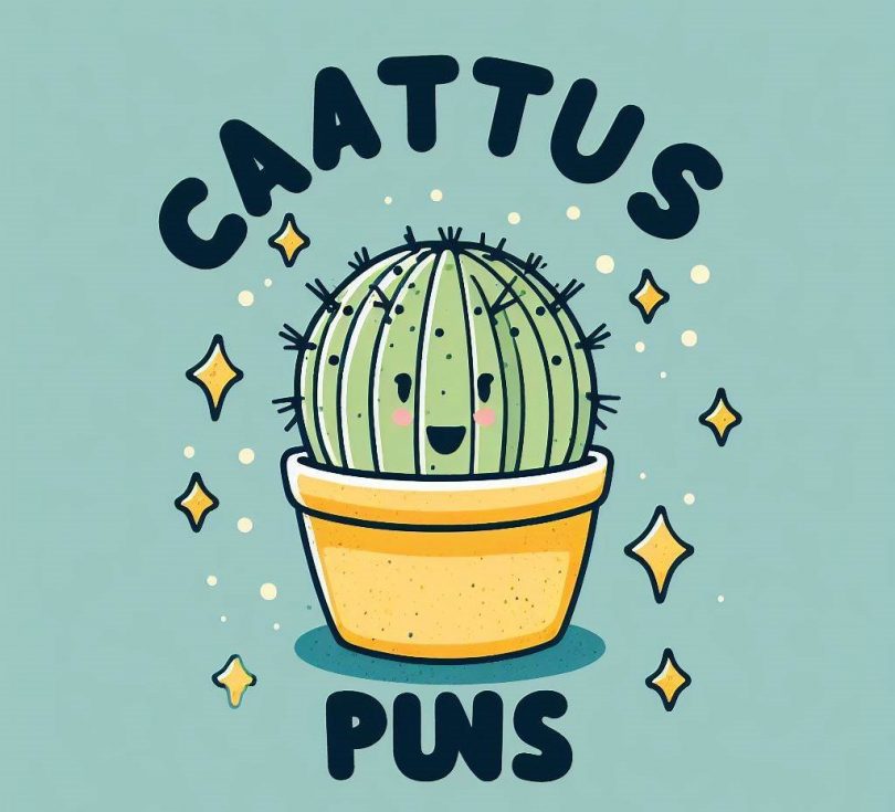 best funny cactus puns