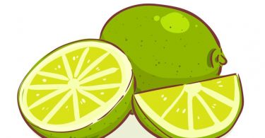 best funny lime puns