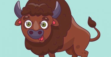 best funny bison puns